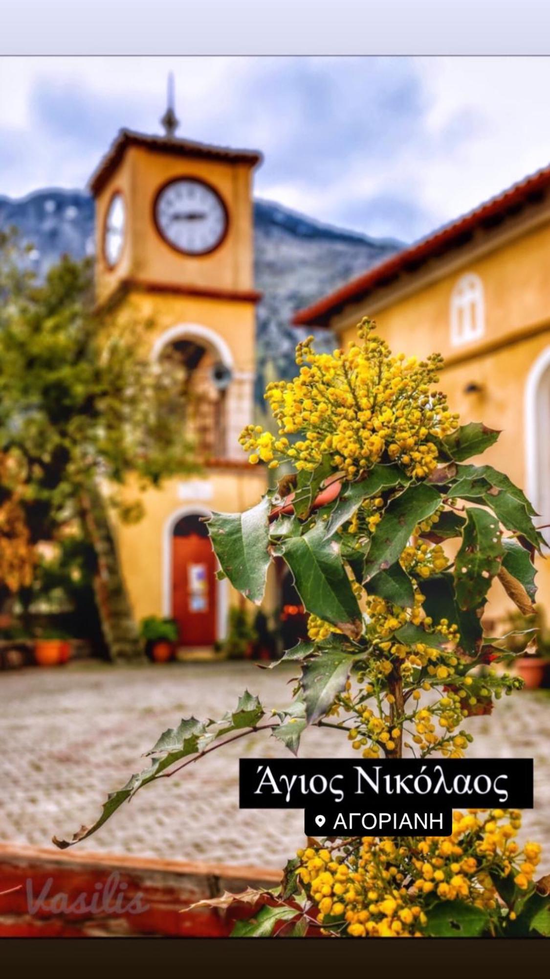 Asimina Guesthouse, Eptalofos Parnassos Zewnętrze zdjęcie