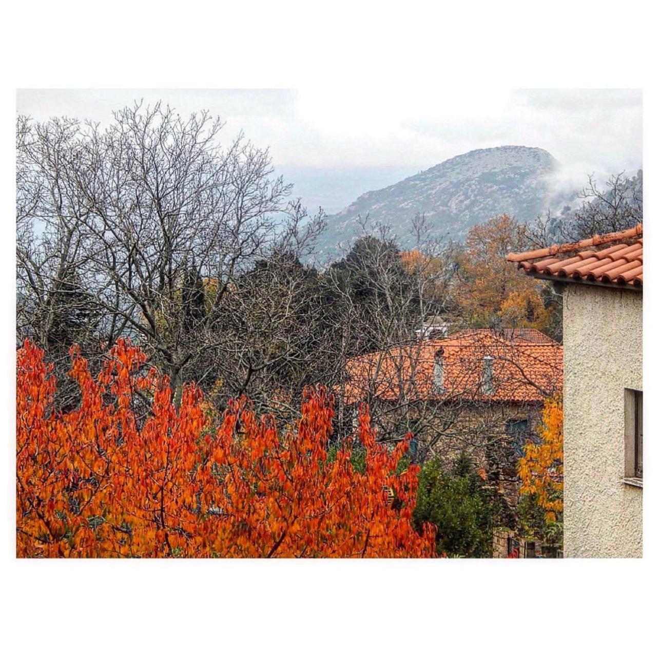 Asimina Guesthouse, Eptalofos Parnassos Zewnętrze zdjęcie
