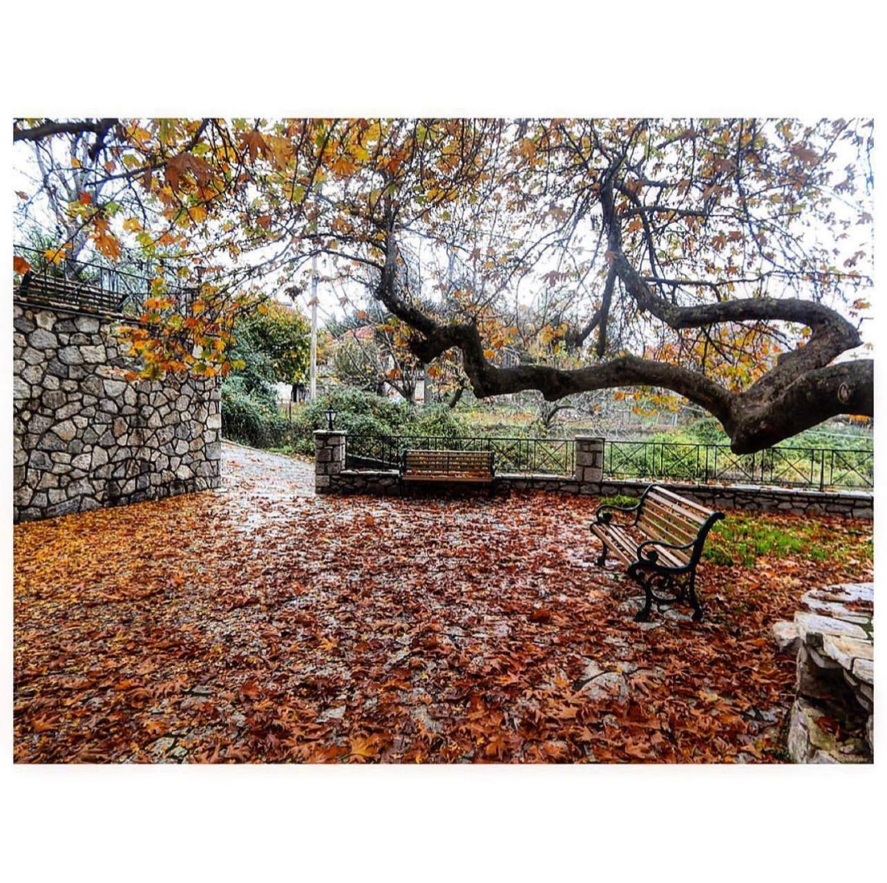 Asimina Guesthouse, Eptalofos Parnassos Zewnętrze zdjęcie