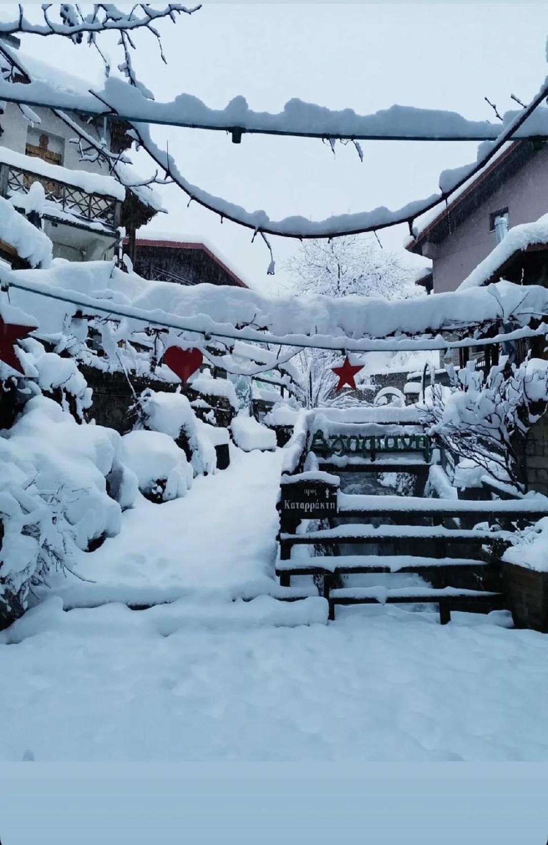 Asimina Guesthouse, Eptalofos Parnassos Zewnętrze zdjęcie