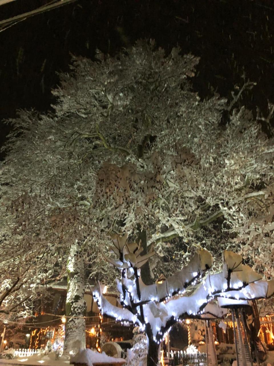 Asimina Guesthouse, Eptalofos Parnassos Zewnętrze zdjęcie