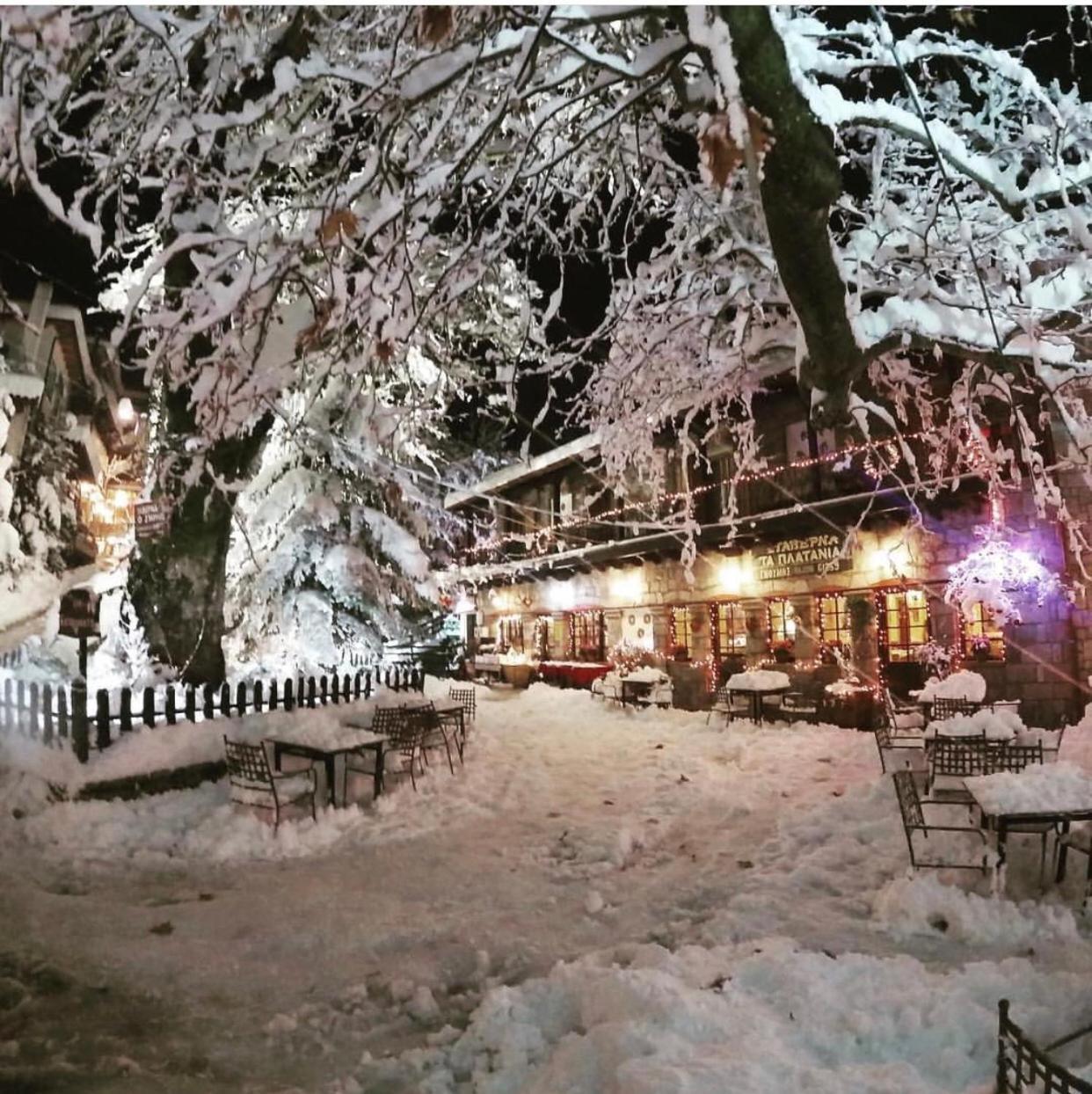 Asimina Guesthouse, Eptalofos Parnassos Zewnętrze zdjęcie